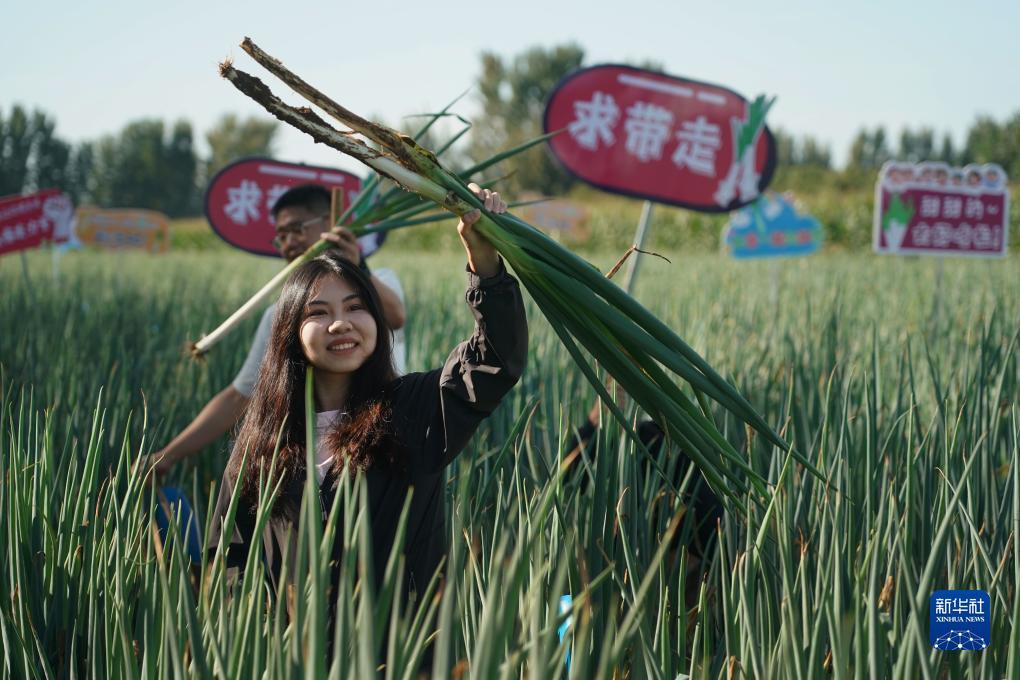 正规的一元夺宝